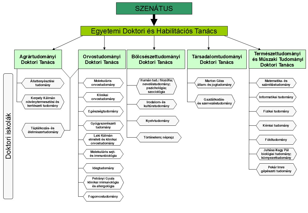 Doktori képzés struktúra